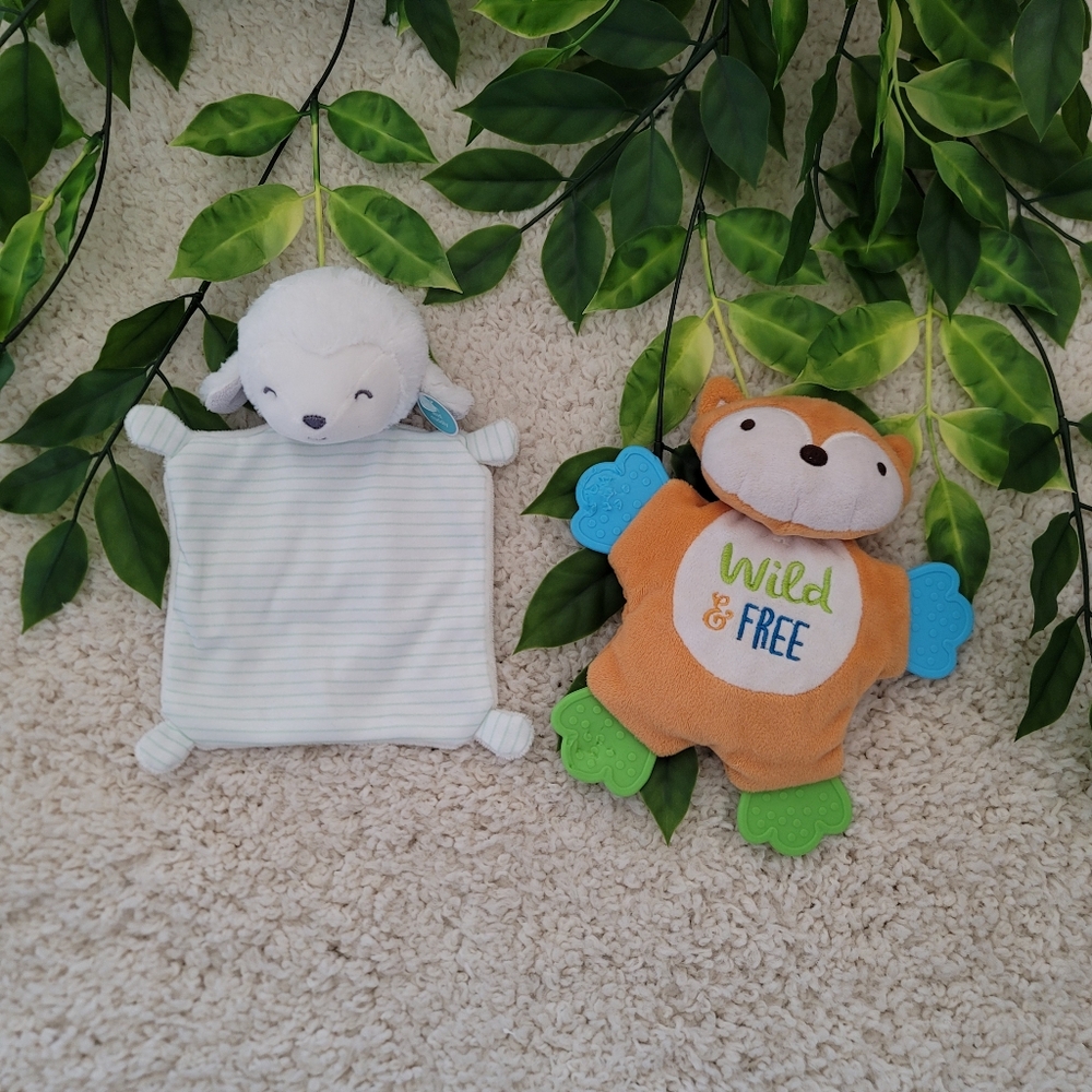 Baby Boy Crinkle Toys (Set Of 2)
